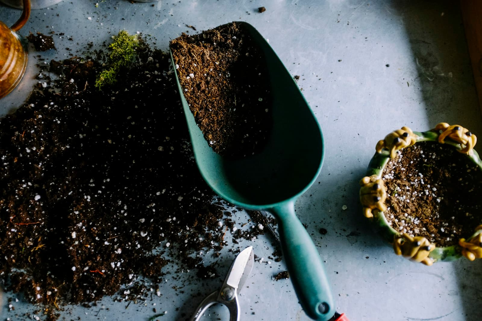 Plant Nutrition