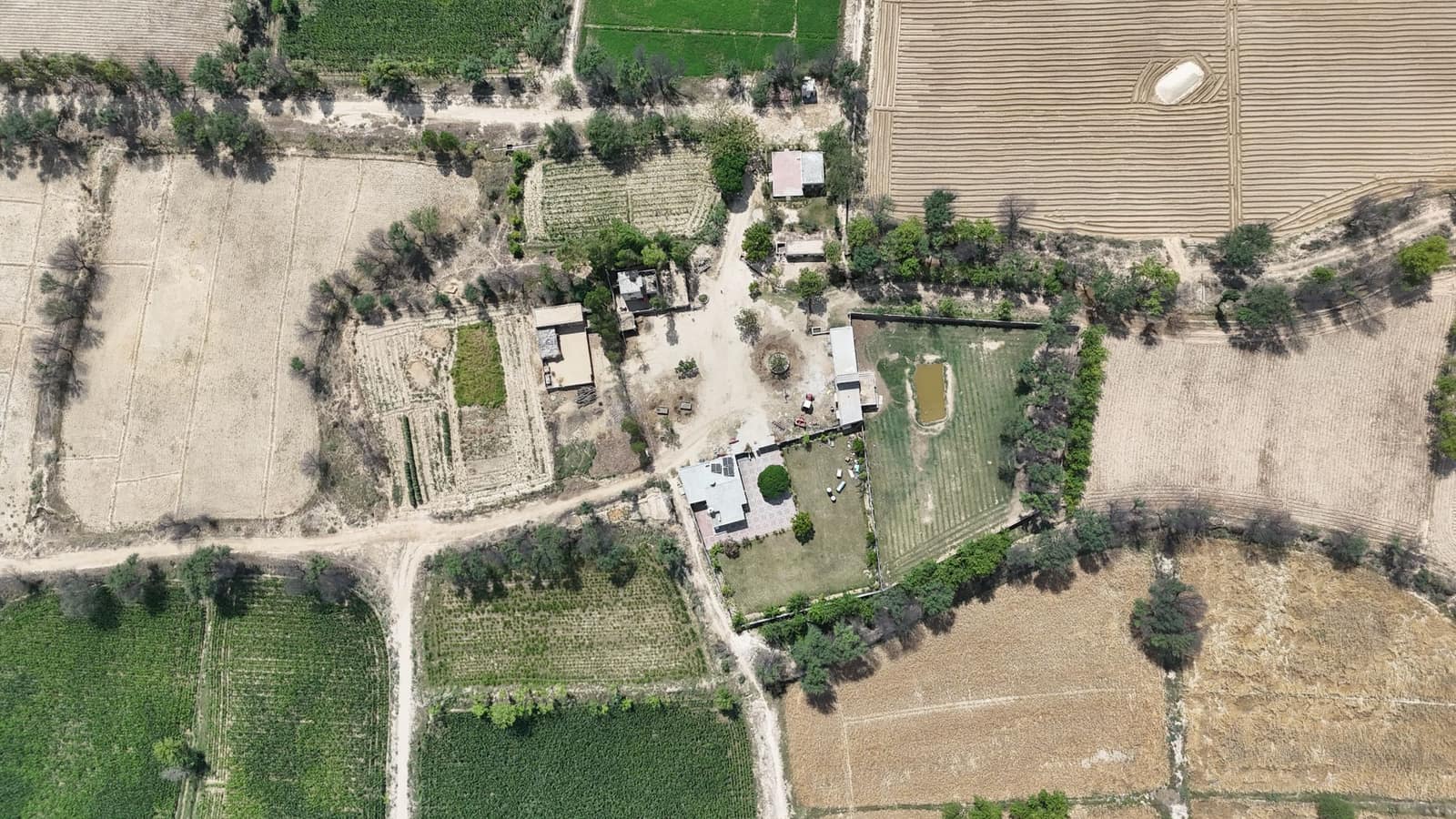 Cultivated fields across Punjab, Pakistan, seen from the air